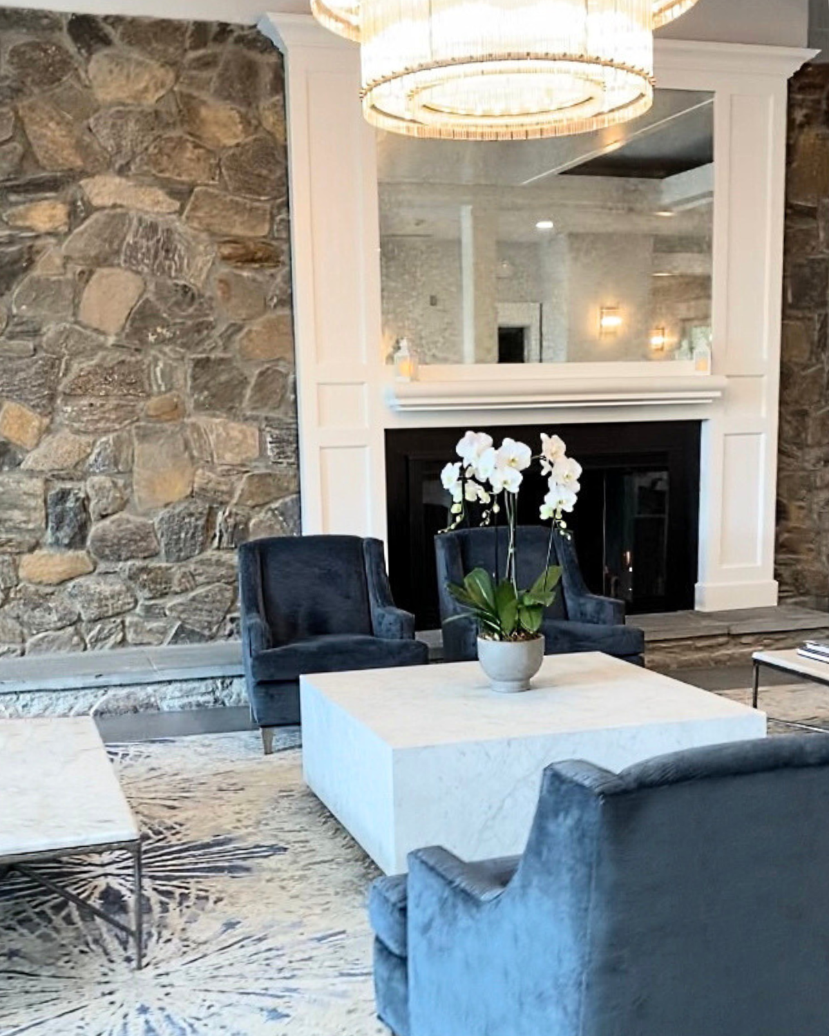 Cascading White Phalaenopsis Orchid Plant Garden - Triple