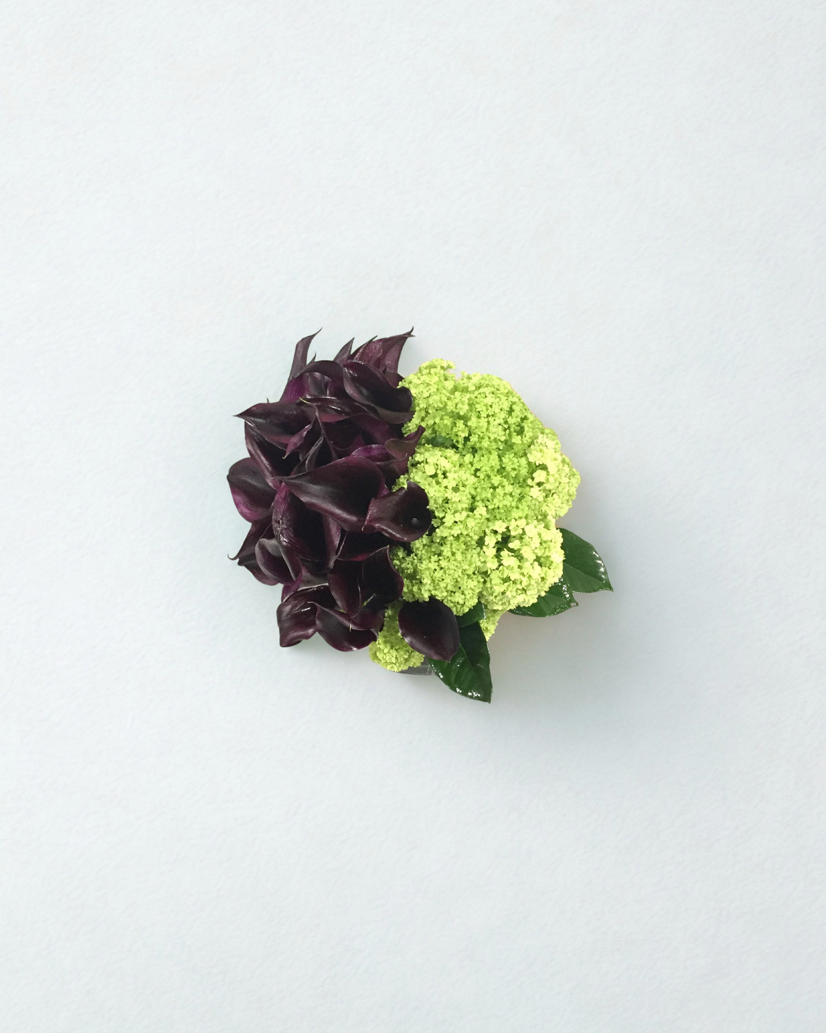 Black Callas & Viburnum
