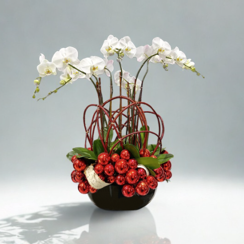 snow-white phalaenopsis orchid garden framed with red dogwood branches and decorated with red metallic ornaments and natural birch bark dressed in a sleek black bowl vase.