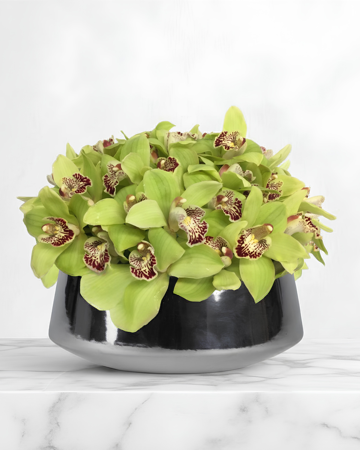 Cymbidium Orchids & Chrome