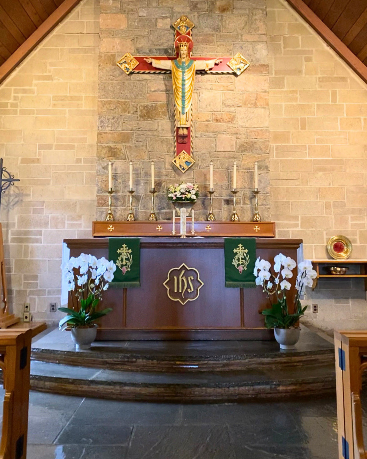 Cascading White Phalaenopsis Orchid Plant Garden - Triple