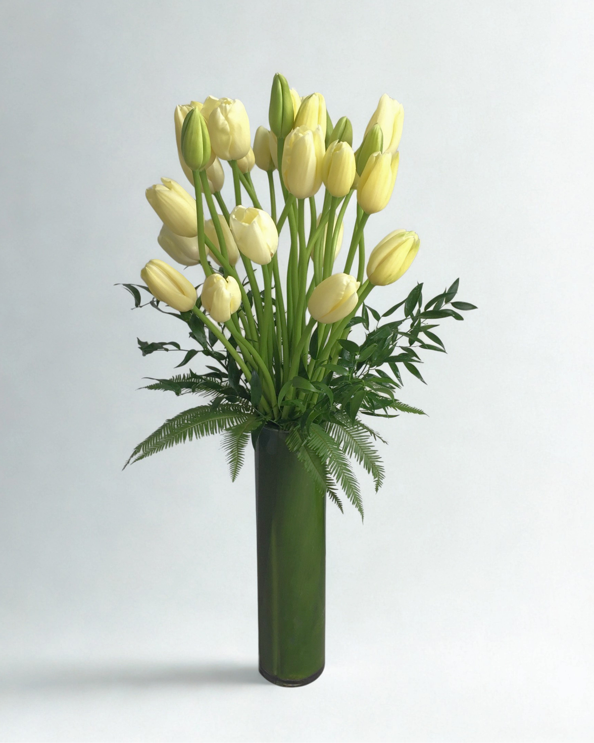 Timeless French Tulips