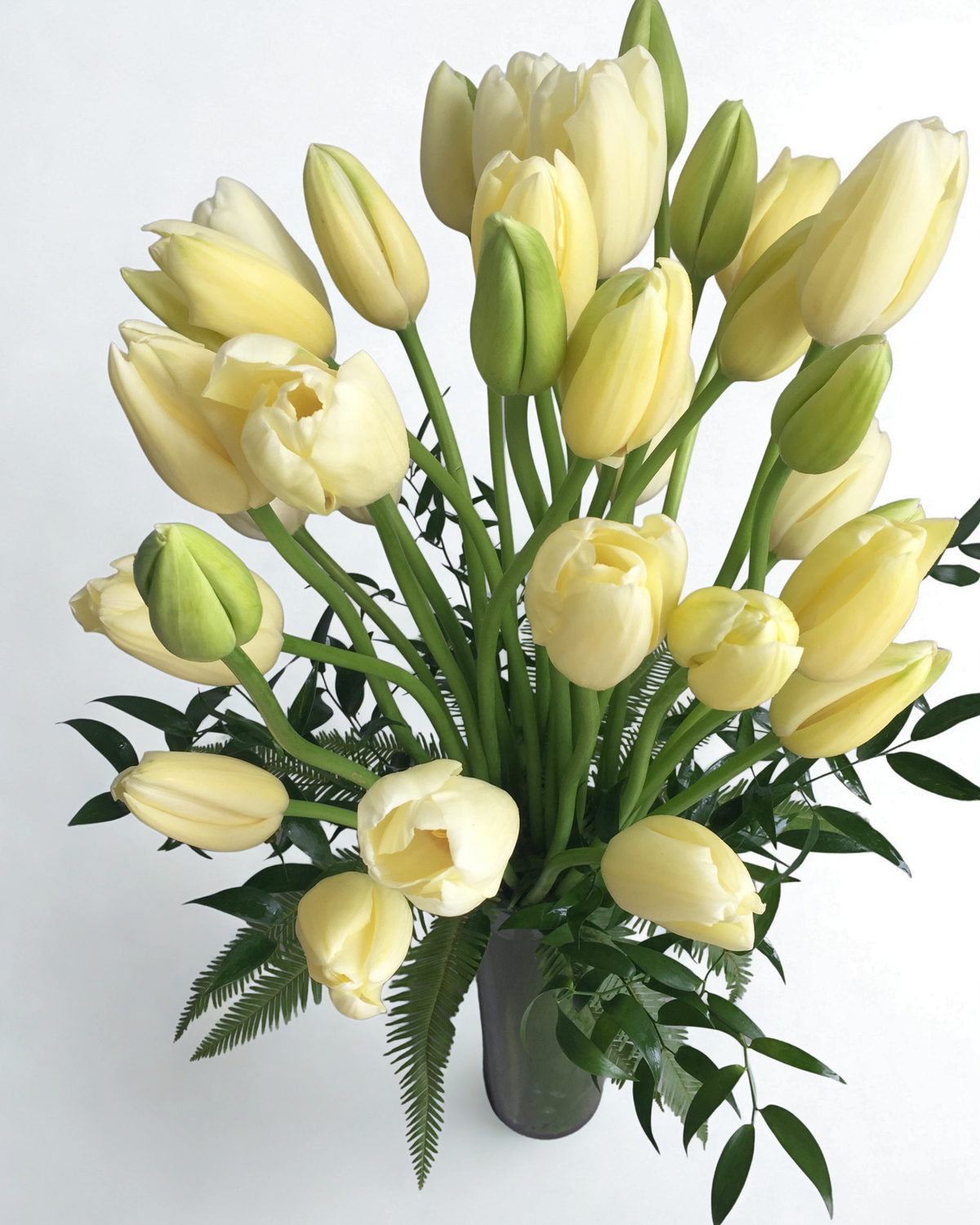 Timeless French Tulips