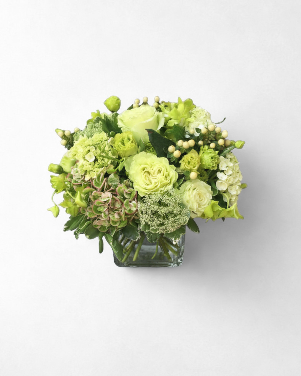 Vibrant Verdant