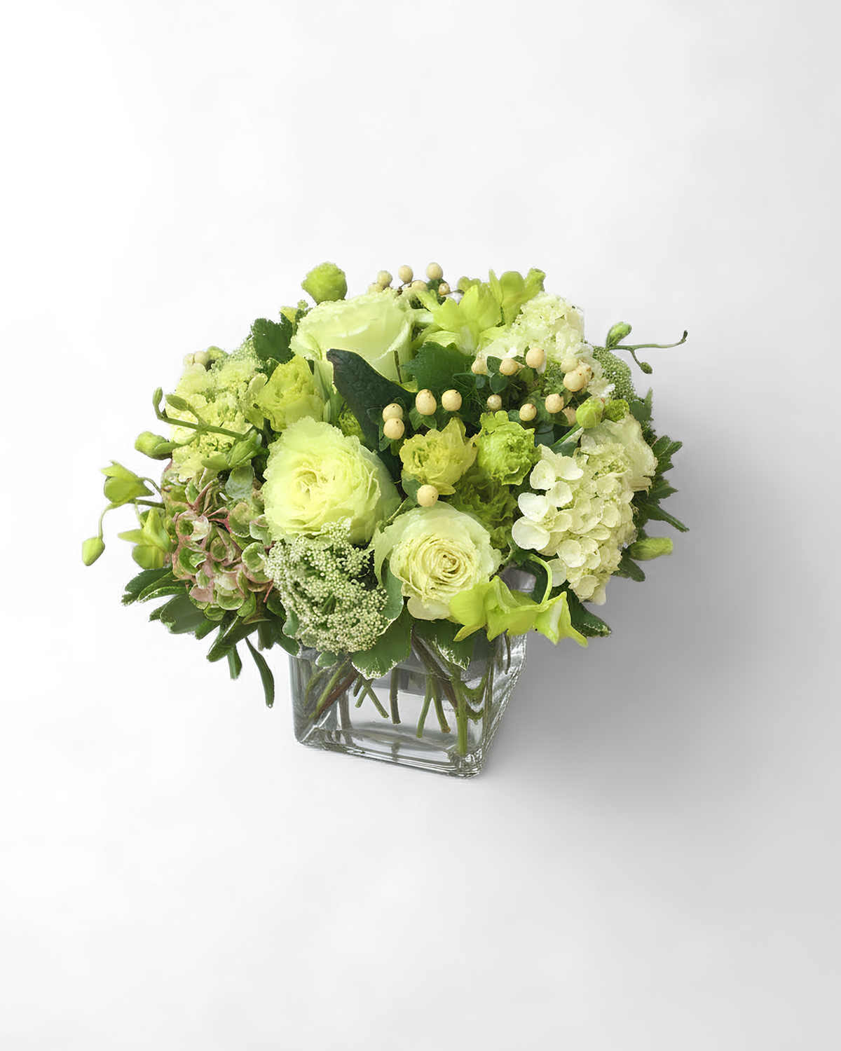 Vibrant Verdant