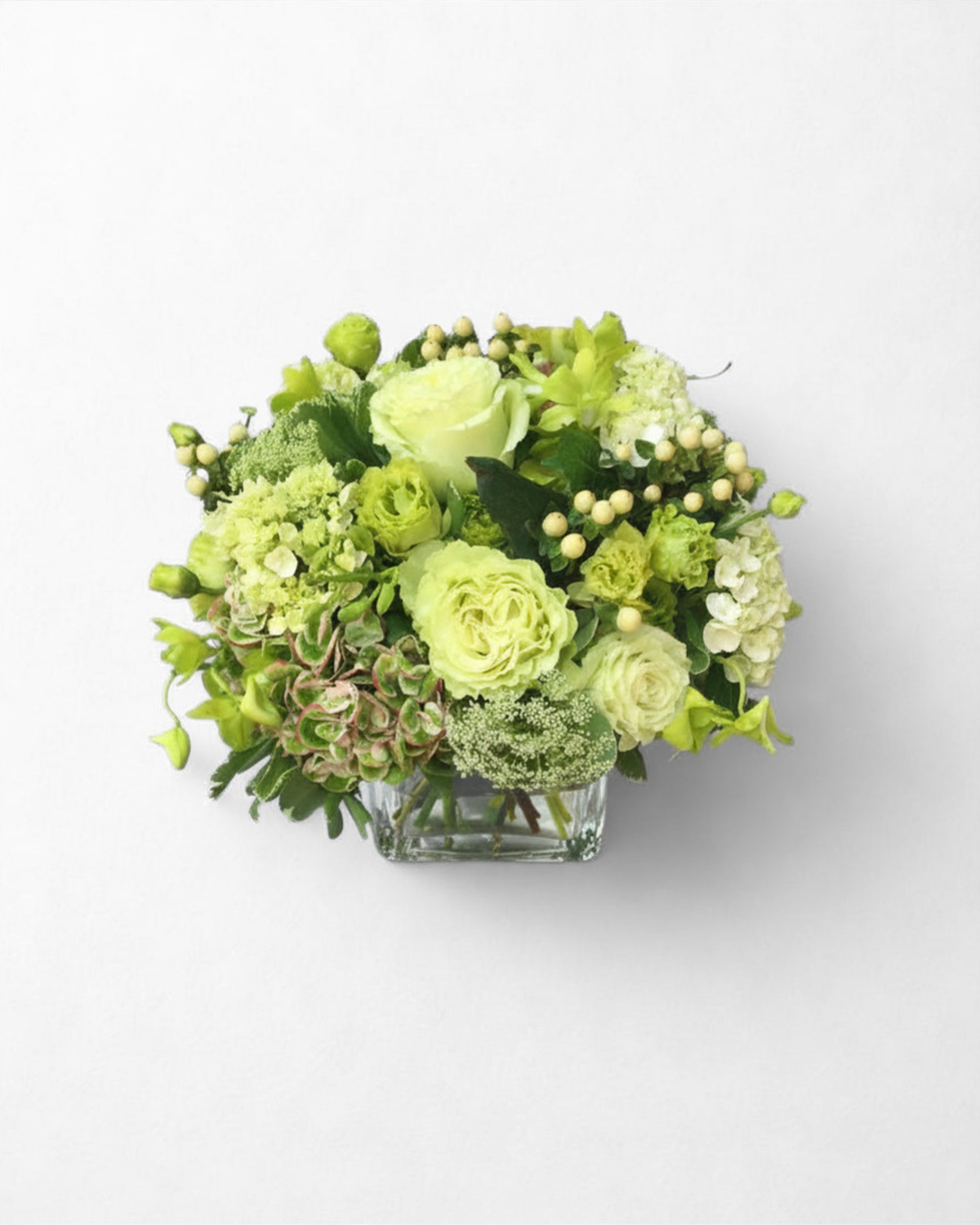 Vibrant Verdant