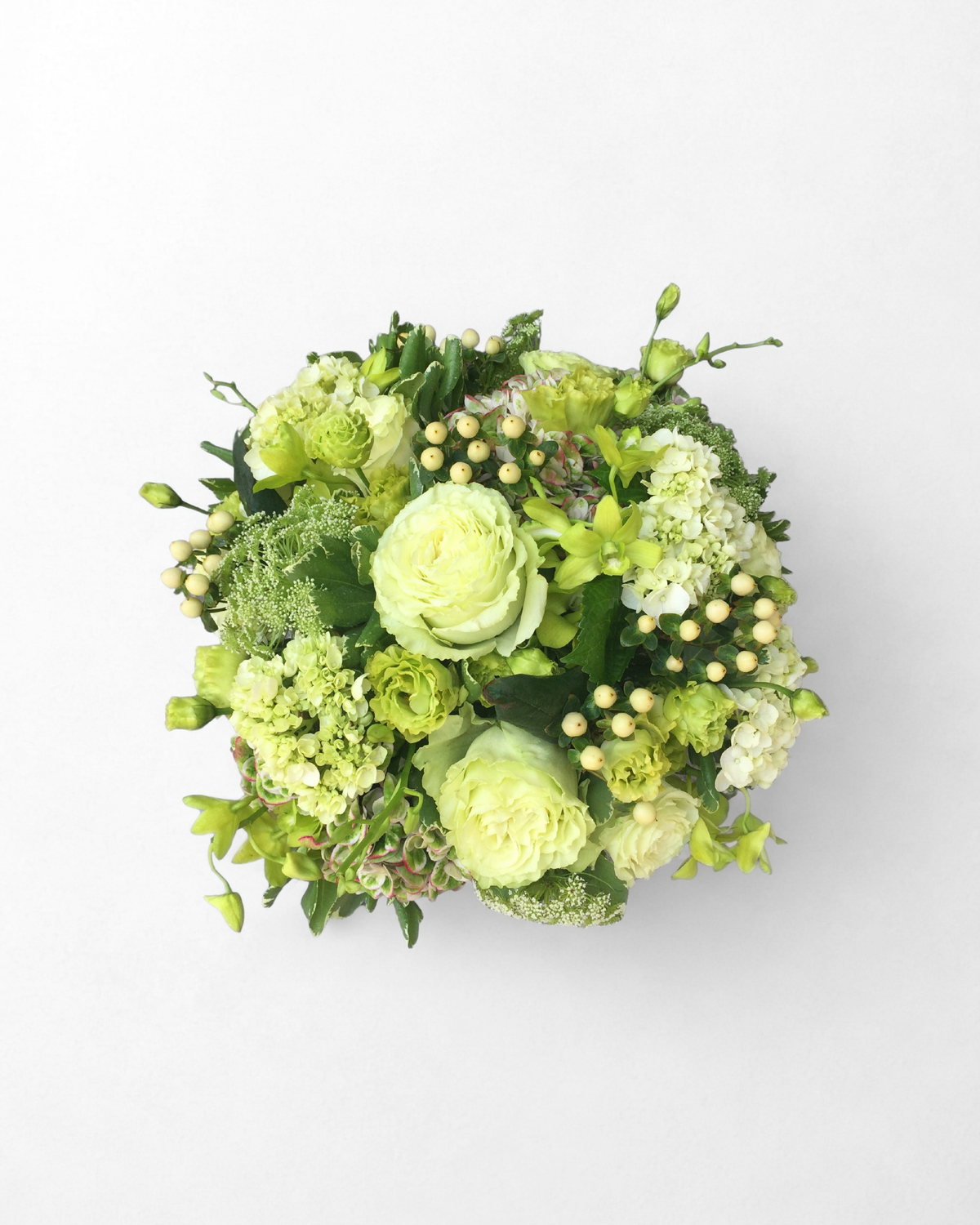 Vibrant Verdant