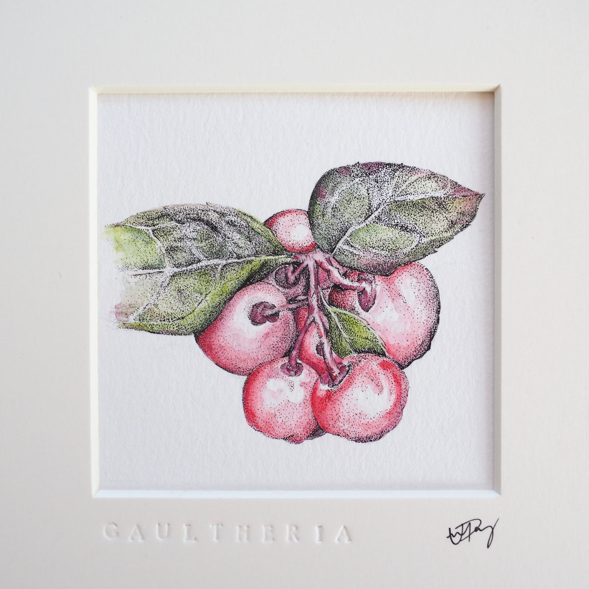 ‘Gaultheria’ - Gold Aluminum Framed Original Botanical Art (9”x9”)
