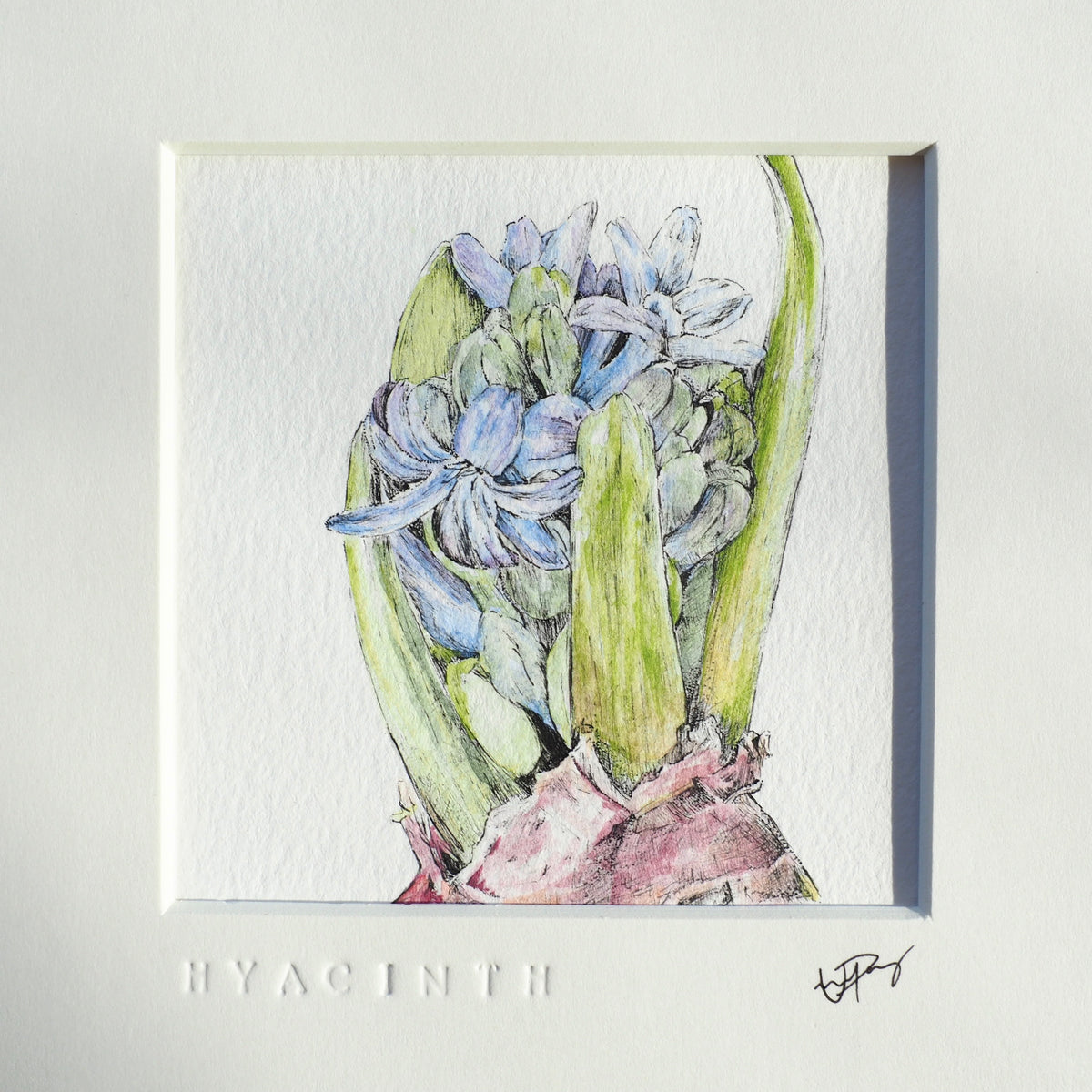 ‘Hyacinth’ - Gold Aluminum Framed Original Botanical Art (9”x9”)