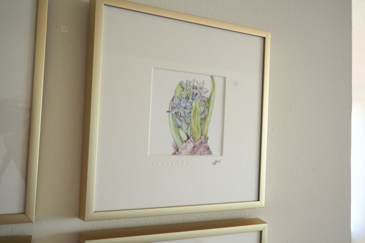 ‘Hyacinth’ - Gold Aluminum Framed Original Botanical Art (9”x9”)