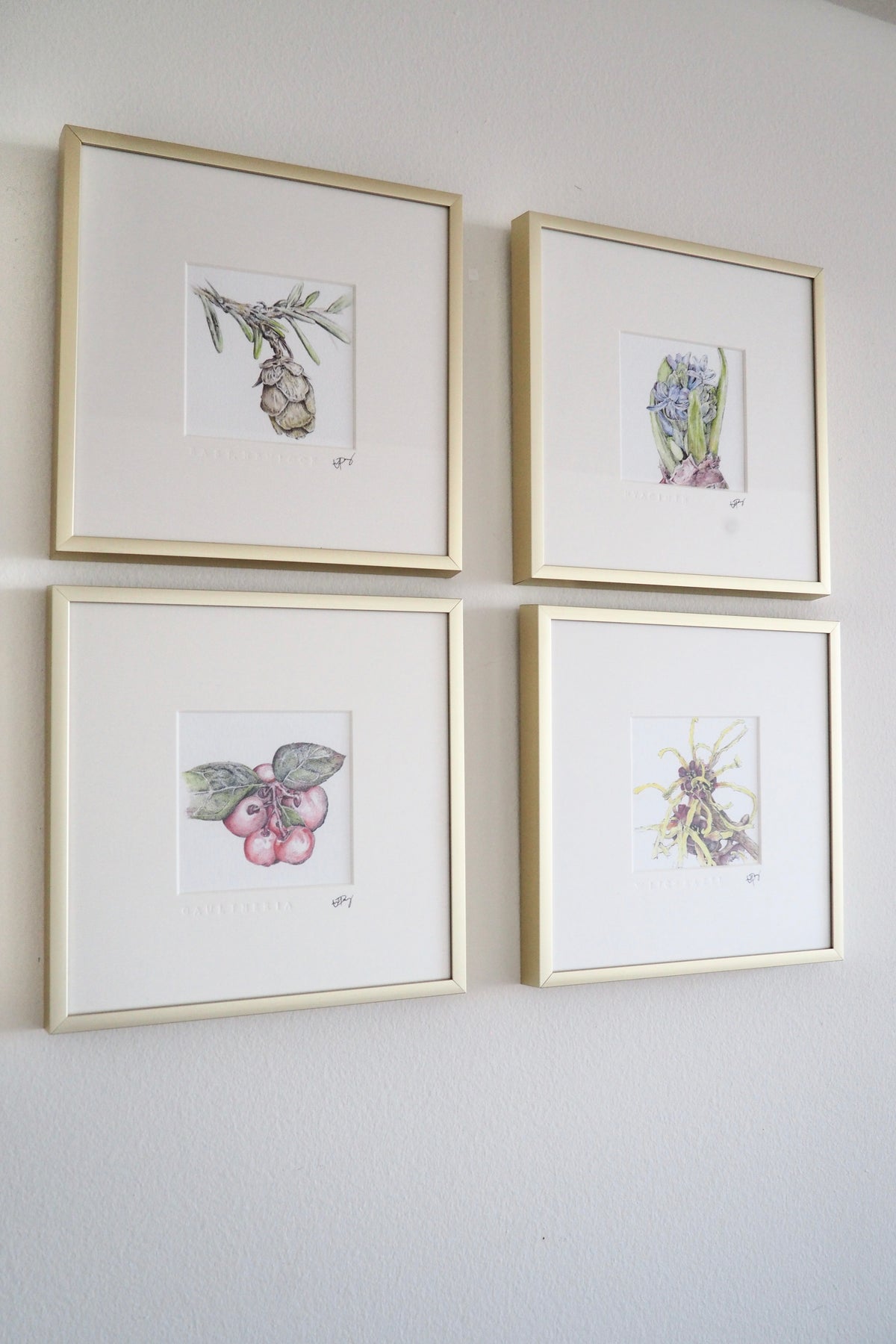 ‘Witch Hazel’ - Gold Aluminum Framed Original Botanical Art (9”x9”)