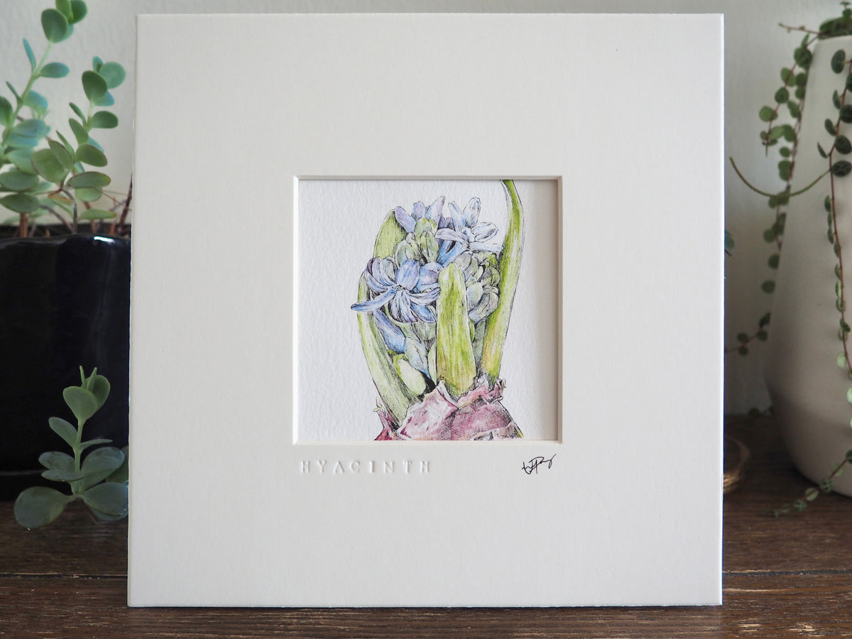 ‘Hyacinth’ - Gold Aluminum Framed Original Botanical Art (9”x9”)