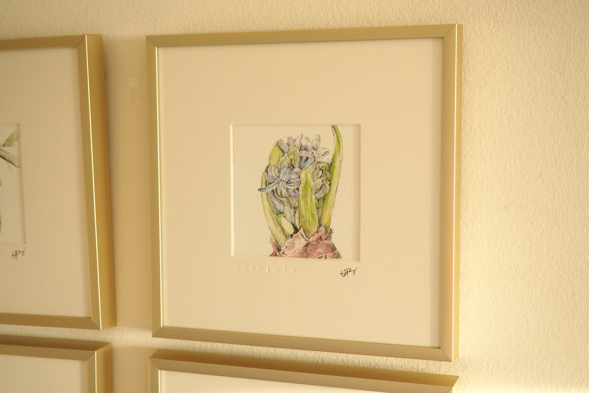 ‘Hyacinth’ - Gold Aluminum Framed Original Botanical Art (9”x9”)